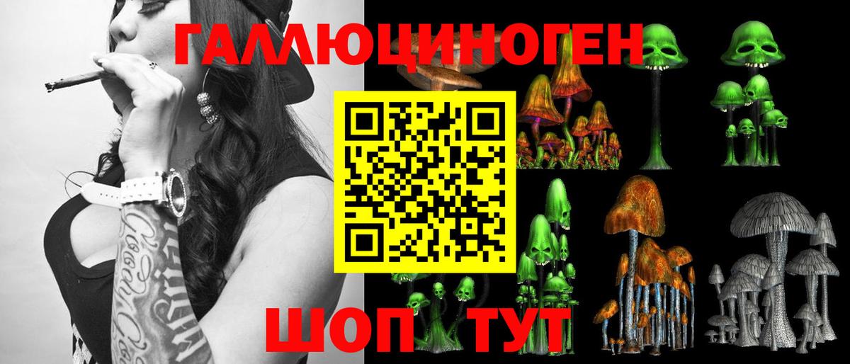 Галлюциногенные грибы прущие грибы  Вход с VPN  Галлюциногенные грибы GOLDEN TEACHER  Майкоп 