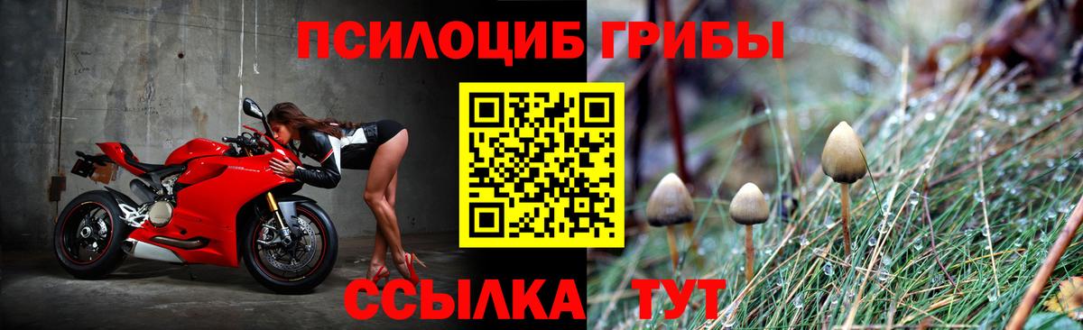 Галлюциногенные грибы Magic Shrooms Майкоп